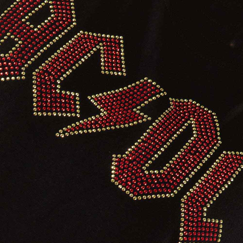 AC/DC Unisex T-Shirt: Full Colour Logo (Black) (Embellished)