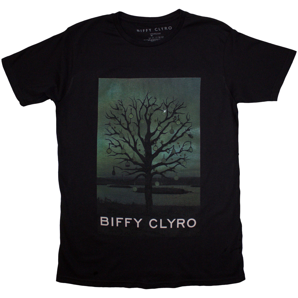 Biffy Clyro Unisex T-Shirt: Black Chandelier (Black)