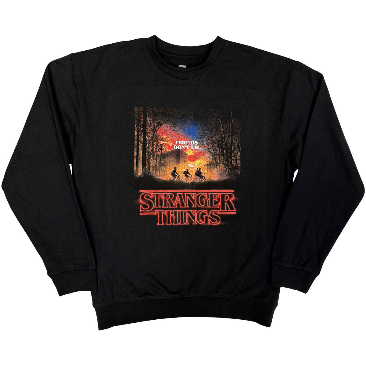 Stranger Things Unisex Sweatshirt: Friends Don't Lie (Black)