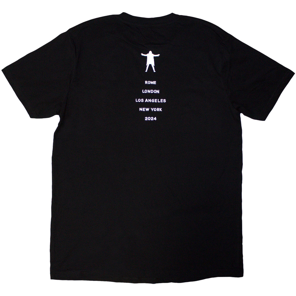 David Gilmour Unisex T-Shirt: Luck & Strange Portrait (Black) (Back Print & Ex-Tour)