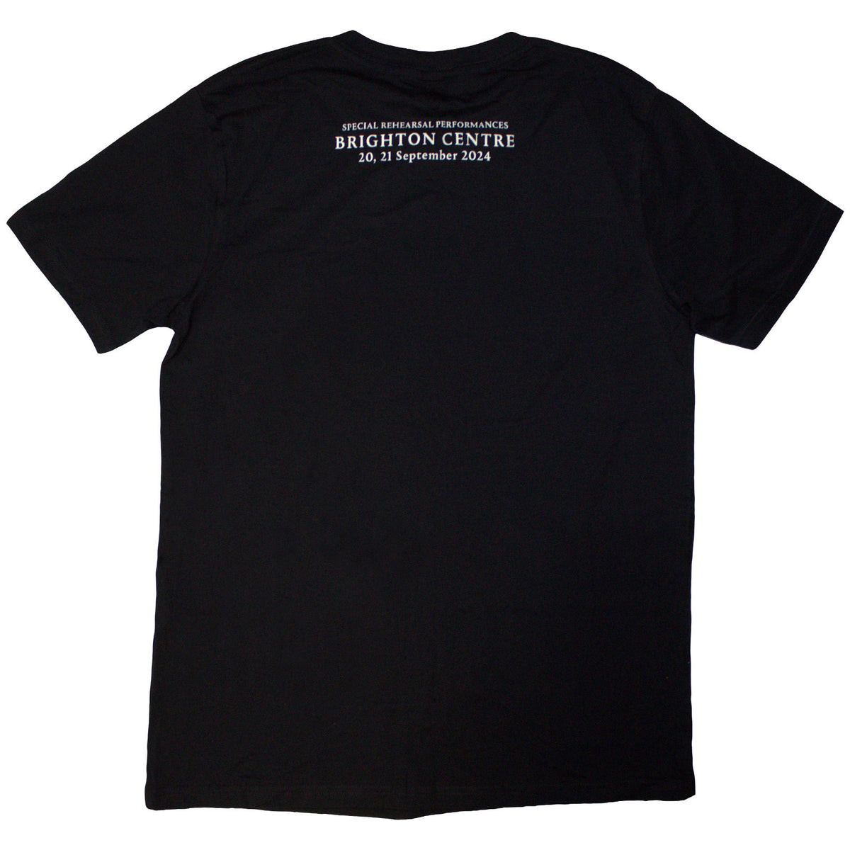 David Gilmour Unisex T-Shirt: Luck & Strange Brighton (Black) (Back Print & Ex-Tour)