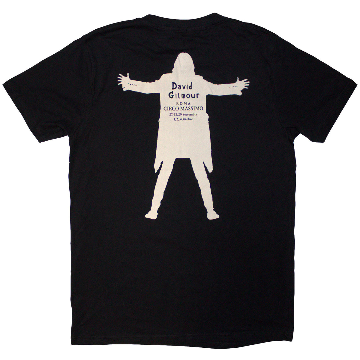 David Gilmour Unisex T-Shirt: Luck & Strange Fortuna E Strano (Black) (Back Print & Ex-Tour)