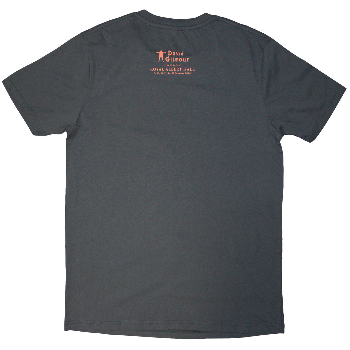 David Gilmour Unisex T-Shirt: Luck & Strange London 2 (Grey) (Back Print & Ex-Tour)