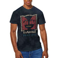 Pink Floyd Unisex T-Shirt: Division Bell Vintage (Dip-Dye On Black) (Wash Collection)