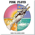 Pink Floyd: Wish You Were Here Graphic Fridge Magnet