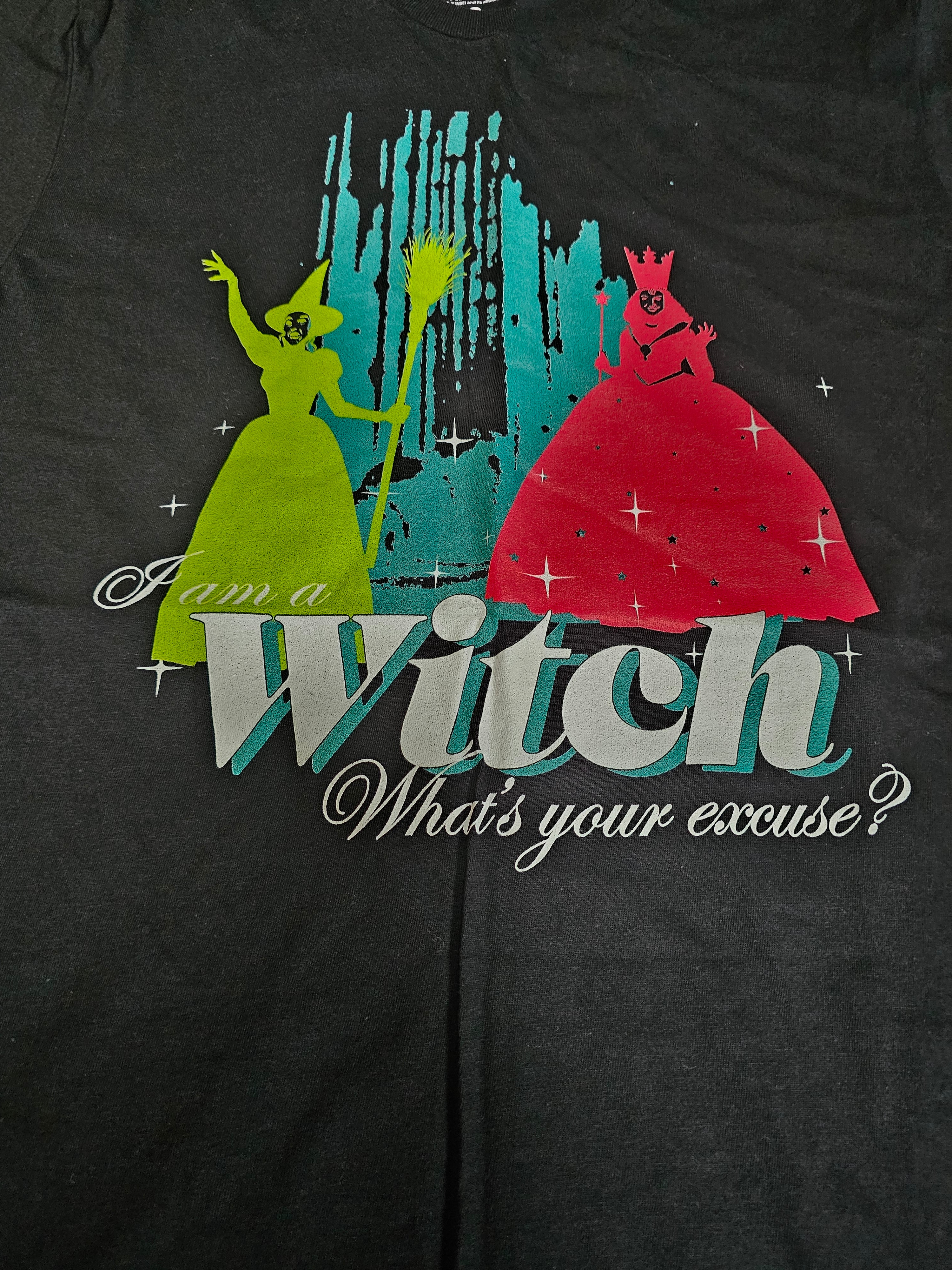 Official Warner Bros Wizard of Oz I'm a Witch T-Shirt