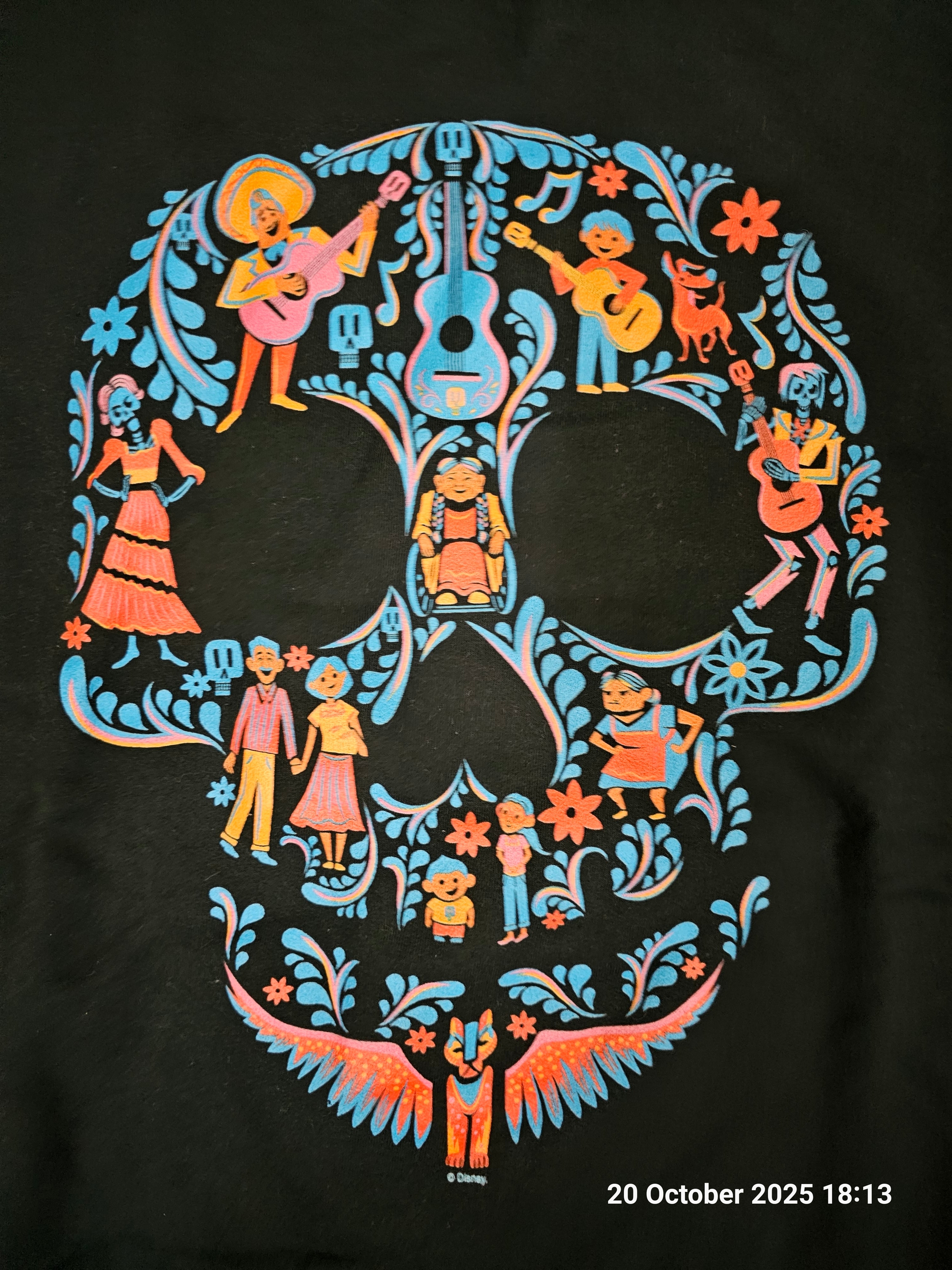 Official Disney Character Merch Coco Sugar Skull Halloween Jumper
