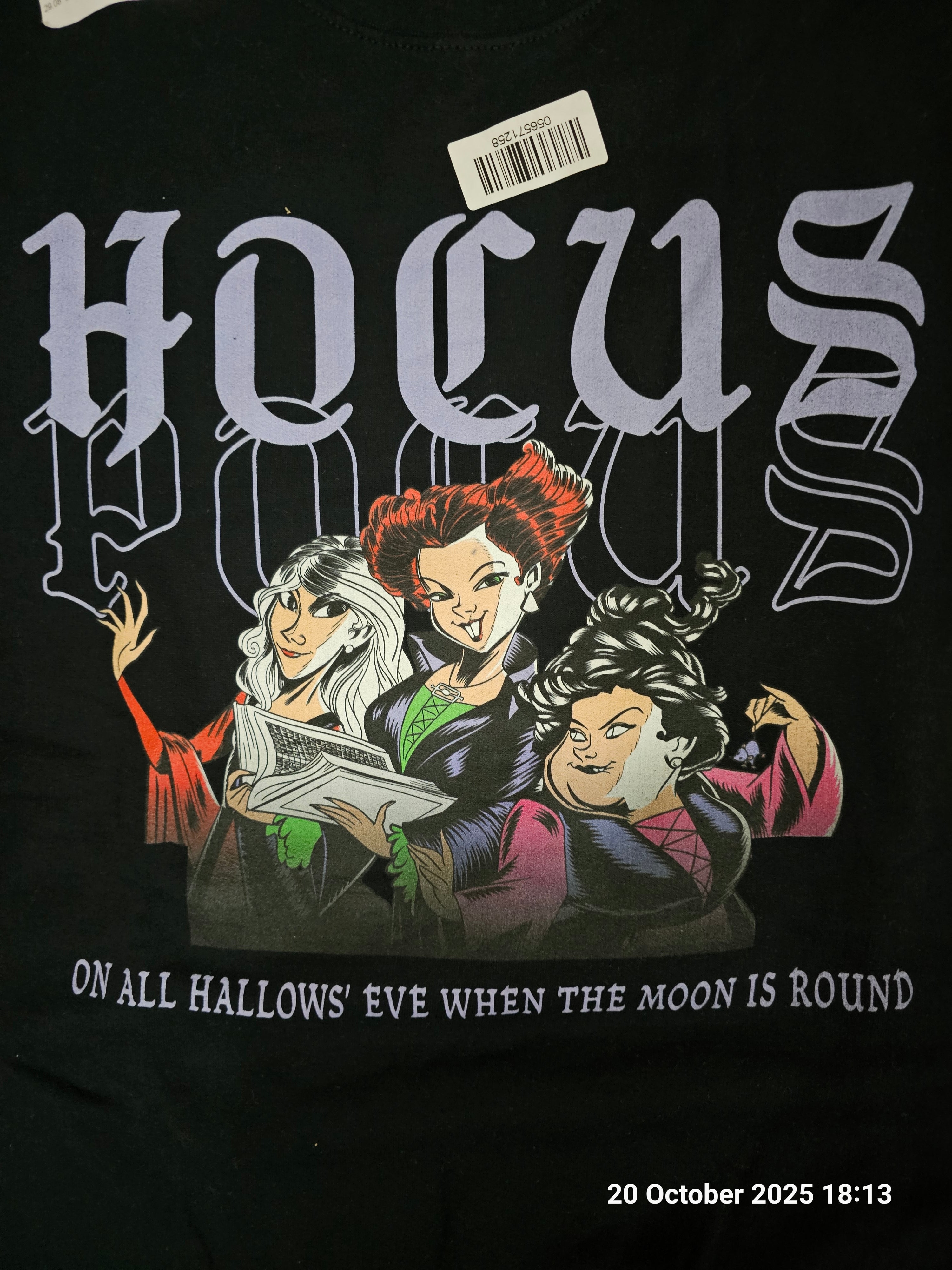 Official Disney Merch Hocus Pocus Jumper