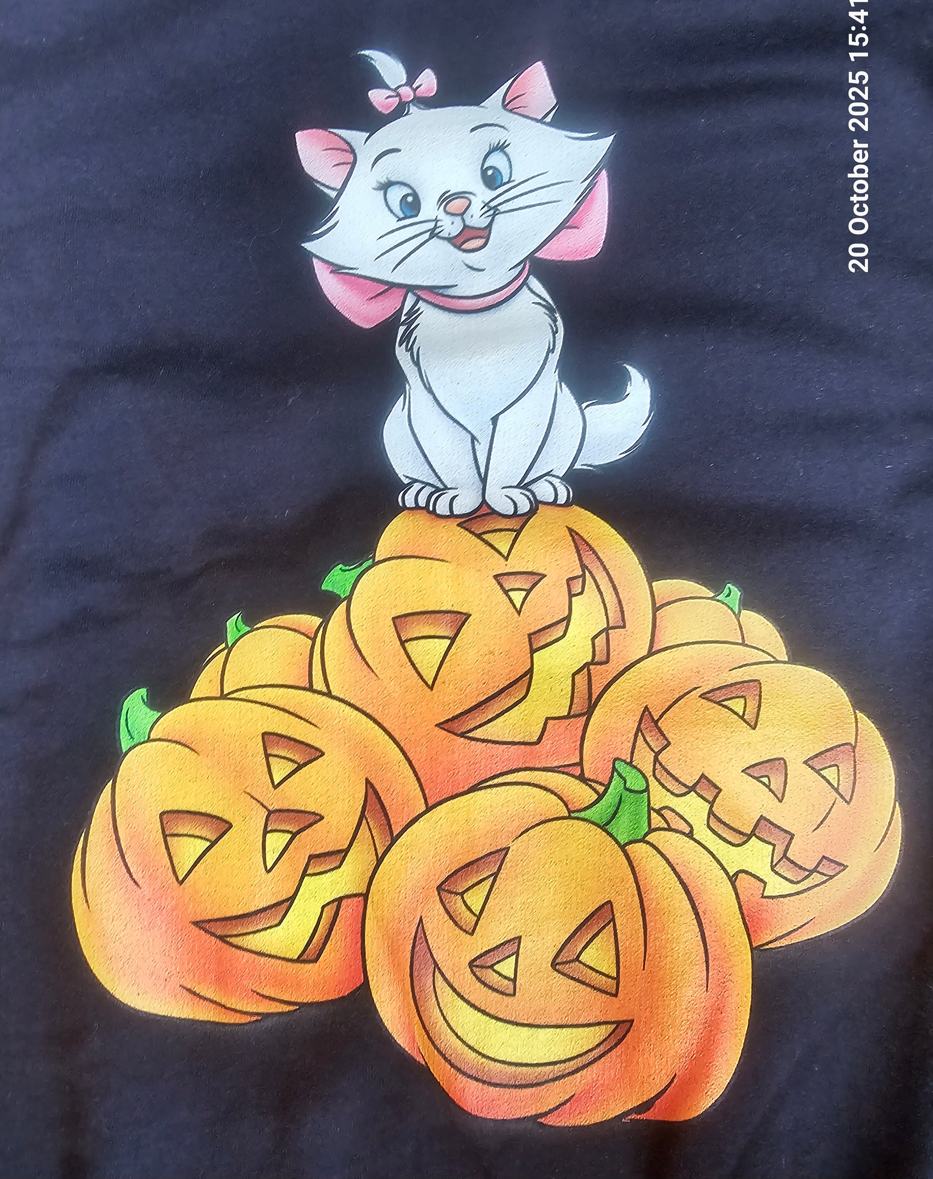 Official Disney Marie Aristocats Pumpkin Halloween Jumper